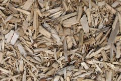 biomass boilers Trefnanney