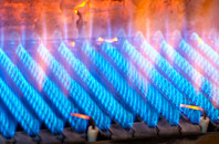 Trefnanney gas fired boilers